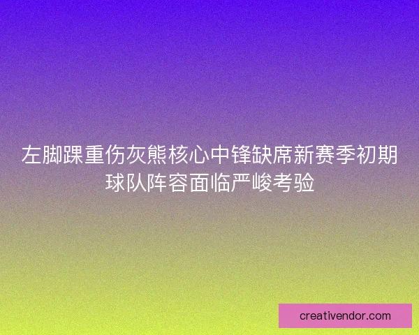 左脚踝重伤灰熊核心中锋缺席新赛季初期球队阵容面临严峻考验